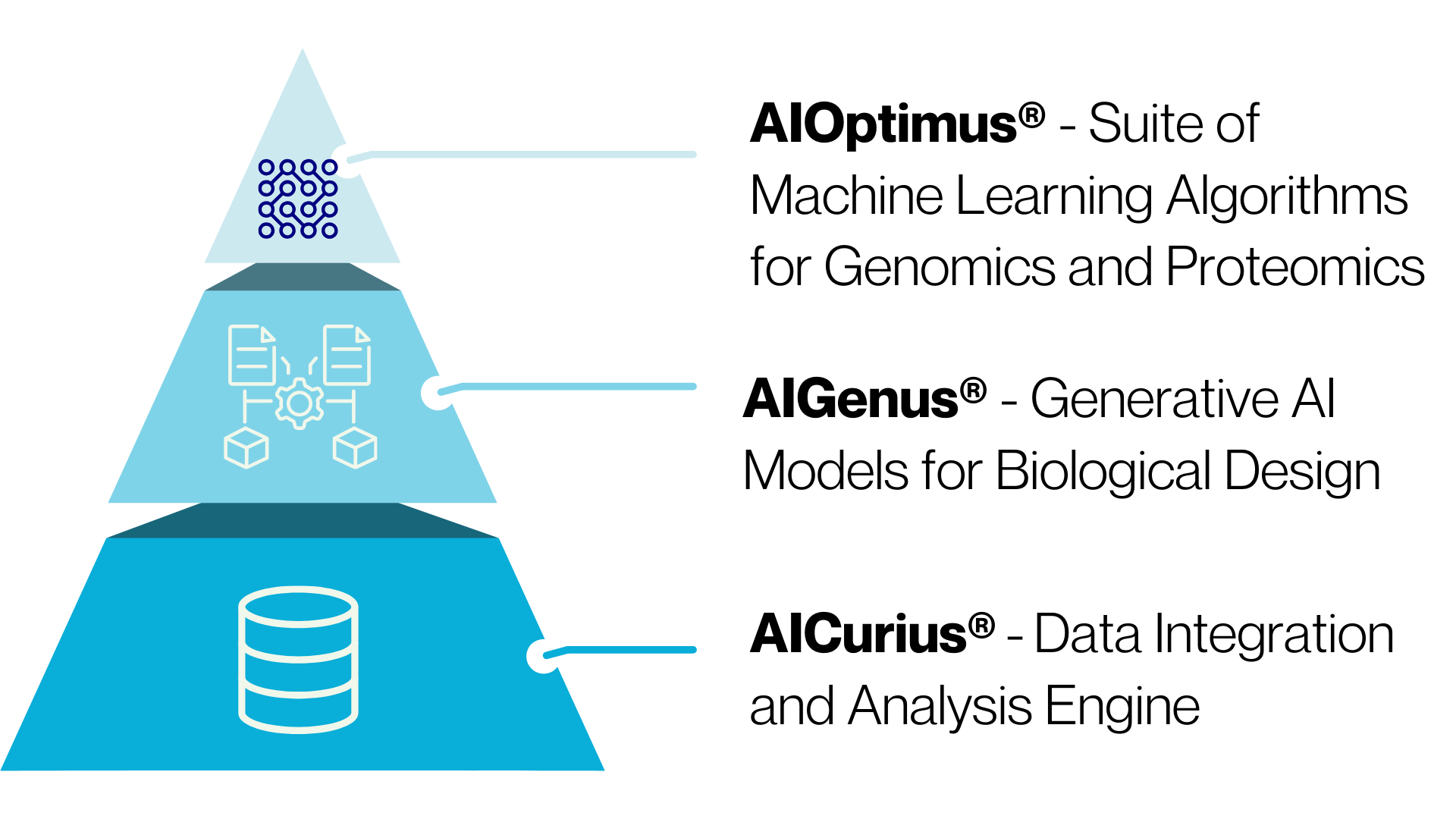 AI Platform 3 Paths