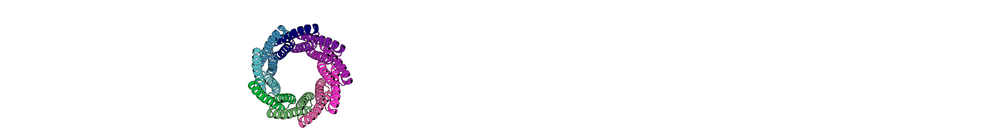 ainovo