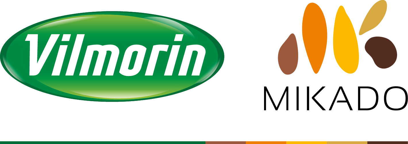 Vilmorin Mikado